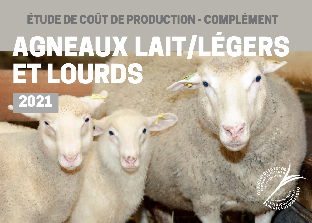 Articles : ÉTUDE COÛT DE PRODUCTION COMPLÉMENT - AGNEAUX 2021 - LAIT/LÉGER ET LOURD 